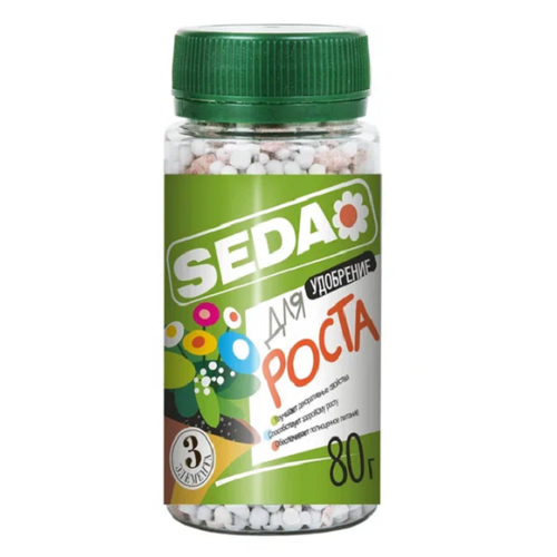     80 Seda   -     , -, 