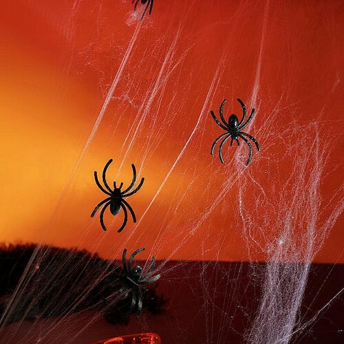 ���� ��������� ������� � ������������, ������ �� 250 ���