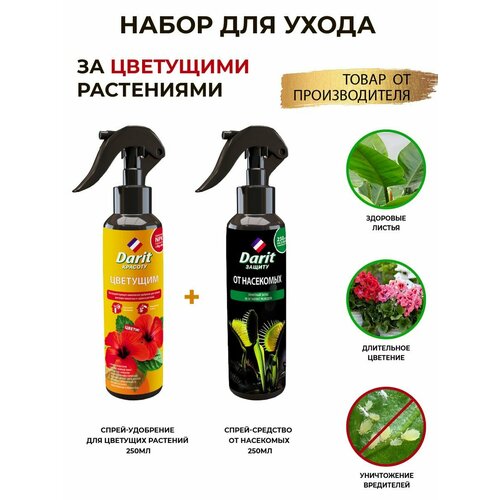 ���� ����� ��������� ���� �� ��������� �������. � ���. ����������, ������ �� 355 ���