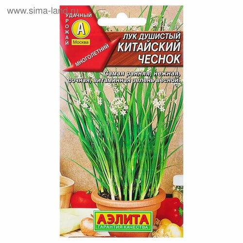 ���� ������ ��� �������� 