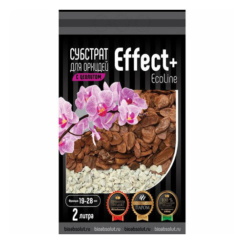 ���� ������. ����� 