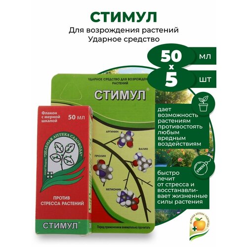 ���� ���������� ����� �������� 