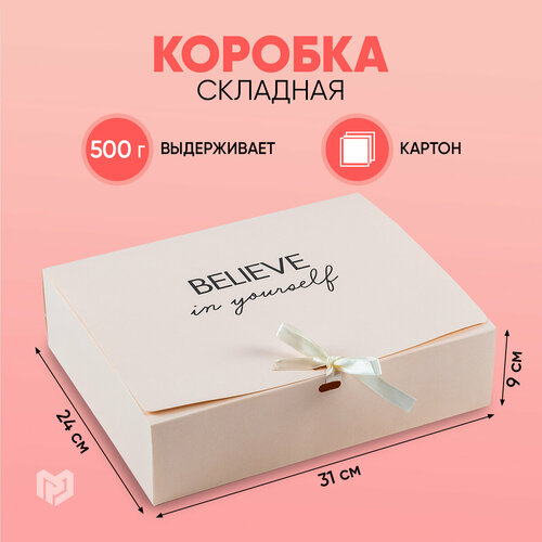 ���� ������� ���������� ������������, 31 ? 24,5 ? 9 ��, ������ �� 235 ���