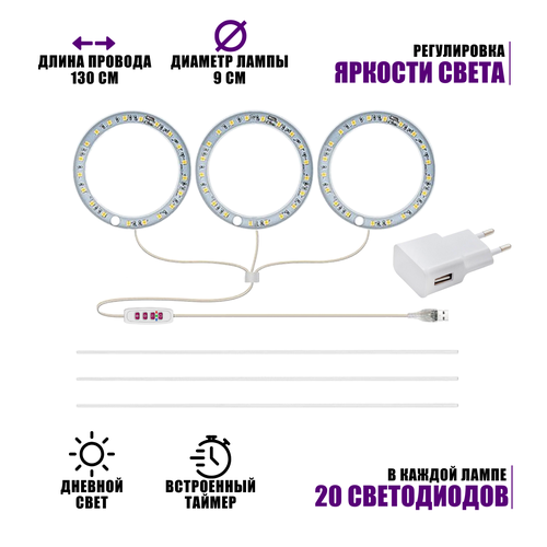 ���� �������������� ��� ��������, 3 ����� �� ���������� ����� � ������������ �������, ������� ����, � ��������� �������, ������ �� 1564 ���