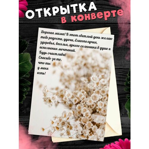 ���� �������� �6 � �������� � ���� ��������, ����!, ������ �� 268 ���