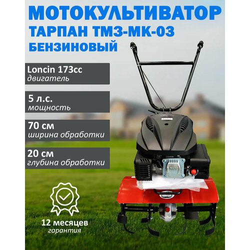     --03   Loncin 173cc,  5 . ,  173 .    -     , -, 