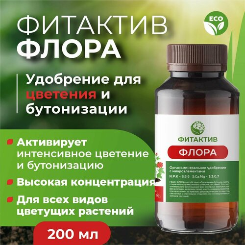 ���� ��������� ��� ����� ������� � ������� �������� ����� (������ 200 ��), ������ �� 541 ���