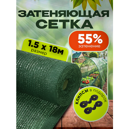 ���� ����� ���������� �������, ��������� 55%, ������ 1,5�18�, ������ �� 1281 ���