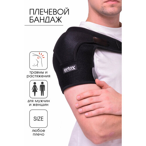 ���� �������� ��������� ������� / ������ �� ����� �������������, ������ �� 906 ���