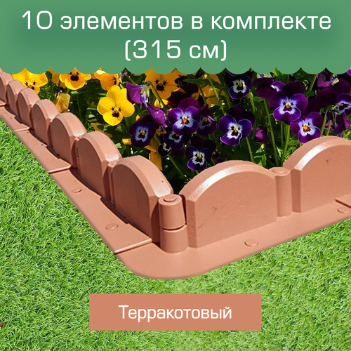 ���� ������ ������ ��� 