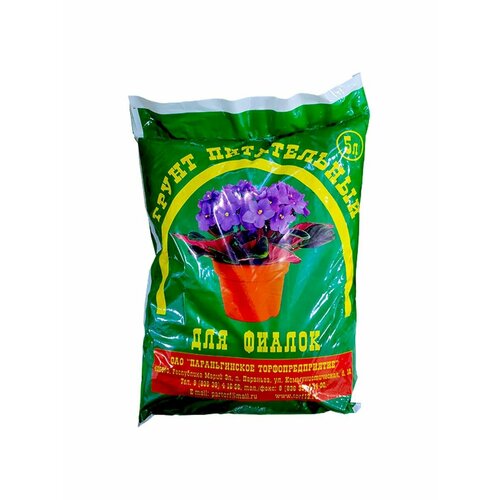 ���� ����� ��� ������ 5 �., ������ �� 387 ���