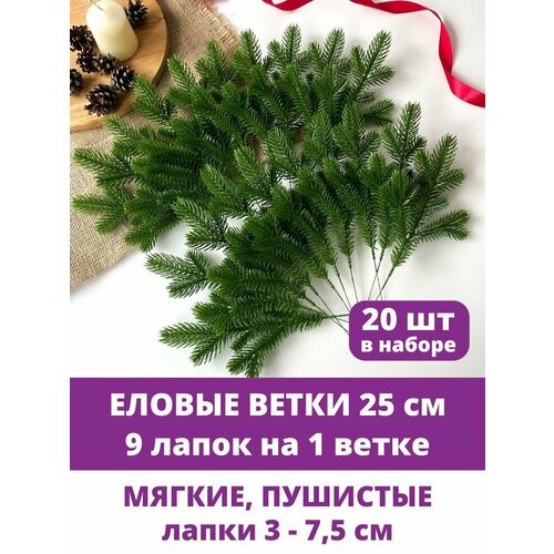 ���� ������ ����� �������������, ������ �����, 9 ����� �� �����, ����� ������, ����������, 25 ��, ����� 20 �����, ������ �� 649 ���