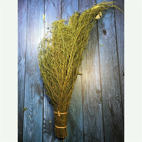 ���� ������ ����� 