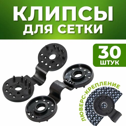 ���� ������ ��� ����� 