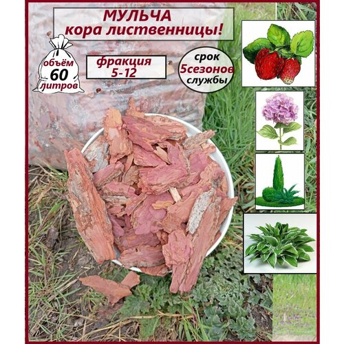 ���� ������. ���� �����������, 5-12. ������ ��� ���� 60 ������, ������ �� 1150 ���