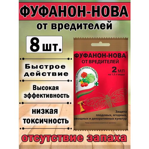 ���� �������-���� ������ �� ��������� ���������� 2 ��, ������ �� 341 ���