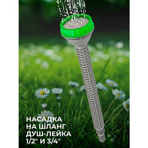 ���� ������� �� ����� ���-����� 1/2