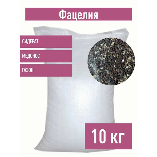 ���� ������� ������, 10 �� ������� ������� �����, ������ �� 5299 ���