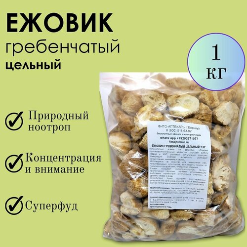 ���� ���� ������ 