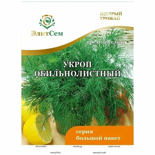     BIG  XXXL 10  (),   65 