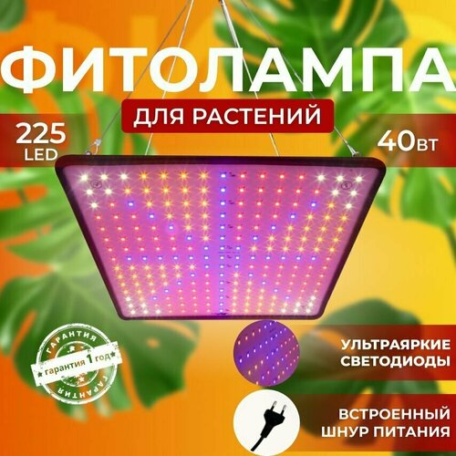           Quantum board     225 LED   -     , -, 