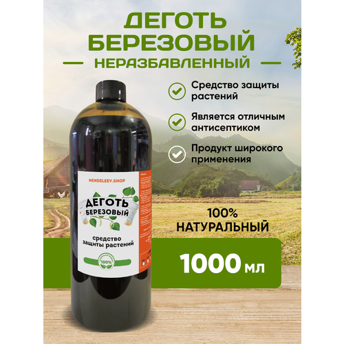 ���� ������ ��������� 1000 ��, ������ �� 1100 ���