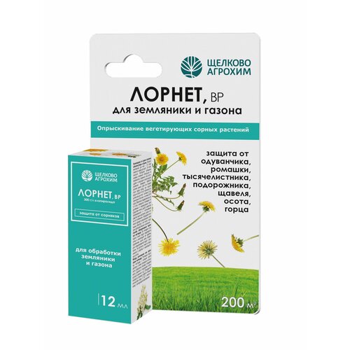 ���� �������� ��� ����������� �������� �� ������ � ��������� 