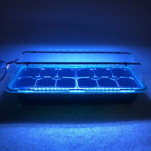 ���� ������ ��� ������ � ������� � ���������� �������� �� �� 12 ������� �����, ������ �� 1700 ���