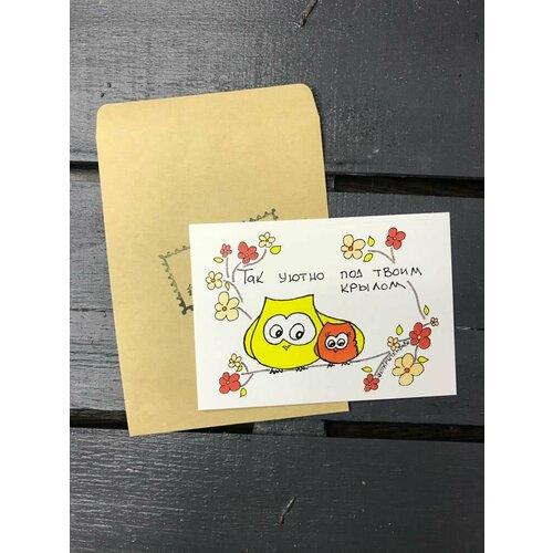 ���� �������� 