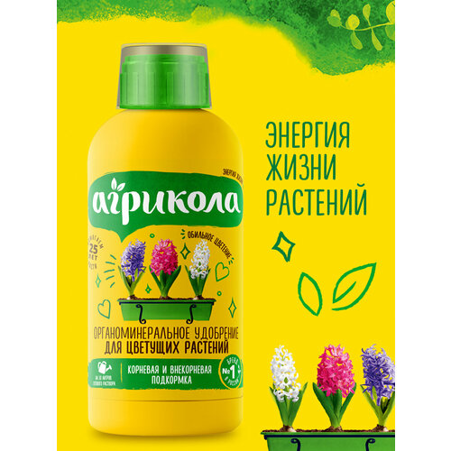 ���� ��������� �������� 