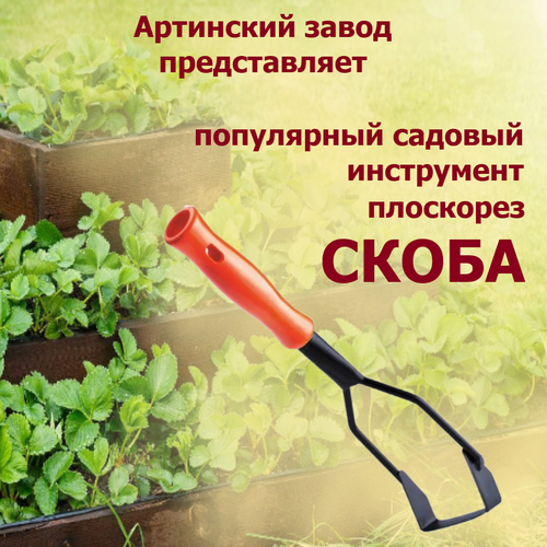 ���� ��������� 