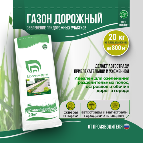 ���� ���������� 