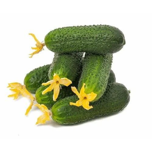 ���� ������������� ������ ������ ������� F1, ������ �� 122 ���