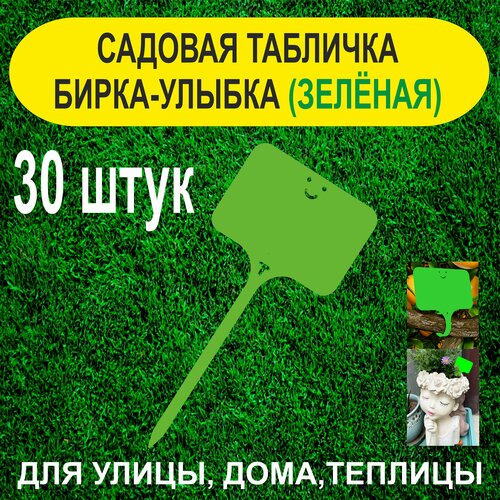 ���� ������� ����� - ������. �������� ��� ��������. 30 ���� (������), ������ �� 300 ���