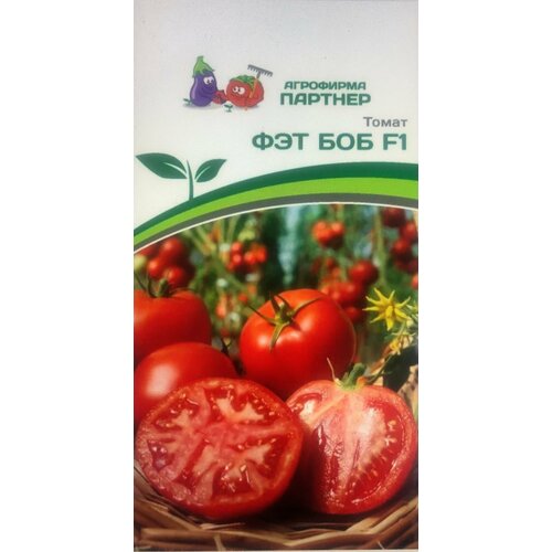 ���� ������ ������ 