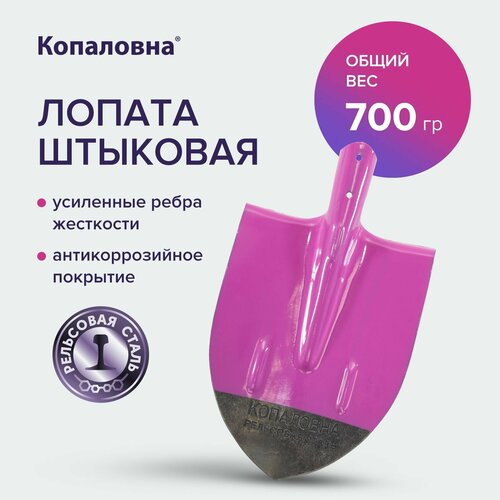 ���� ������ �������� ��� �������, ��������� ����� ���������, ������ �� 428 ���