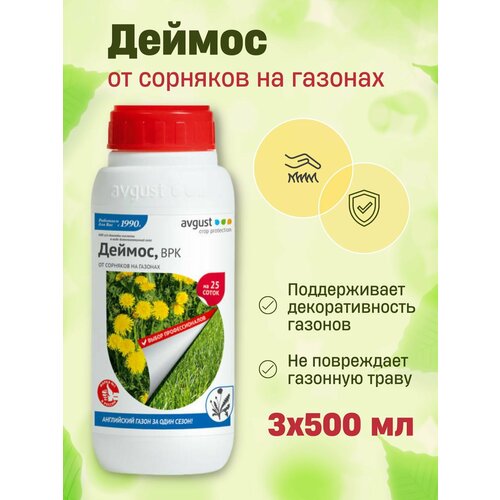 ���� ������, ��� AVGUST �� �������� �� �������, �������� ����� �� �������� 500 �� ������, 3��, ������ �� 9570 ���