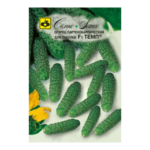 ���� ������ ������ ���� F1 10�� ������������������ ������ (�����), ������ �� 161 ���