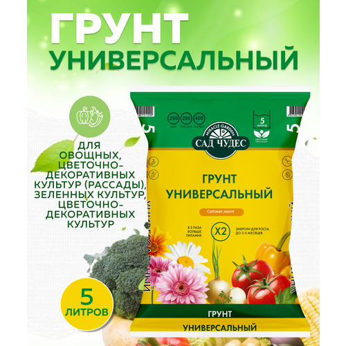 ���� ����� ������������� ��� �����, 5 �, ������ �� 285 ���