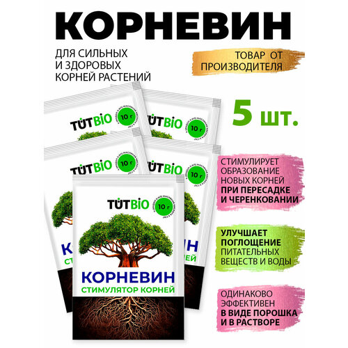 ���� �������� �������� ���������� ���������������� 10�*5�� ���������, ������ �� 290 ���