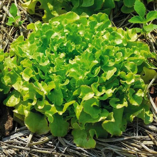 ���� ����� �������� ���������� 1 ����� ����� ������� ������, ������ �� 198 ���