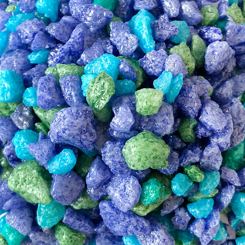 ���� ����������� ����� ��� ��������, ����������� � ��������, Zoo One, ��������� ��������, 