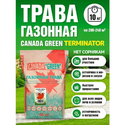 ���� �������� ����� ������ ������ ���� ��� �������� 10�� / Canada Green Terminator 10��, ������ �� 5205 ���