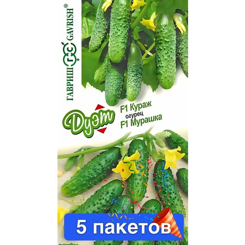 ���� ������ ������ ������ 