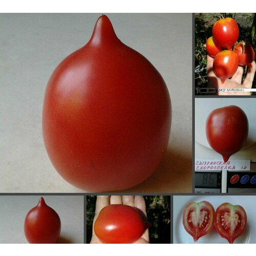 ���� ������������� ������ ������ ���������� �����������, ������ �� 102 ���