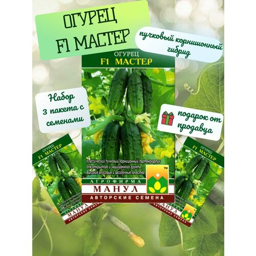 ���� ������ ������� ������ F1 - 3 ������, ������ �� 351 ���