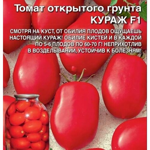 ���� ������ ����� ����� - ��������� ������ F1 (��) �/� �/�, ������ �� 106 ���