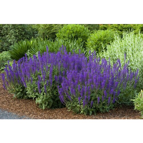 ���� (������) ������ ������������� �������, 0.15�� (1��) + ��������, ������ �� 690 ���