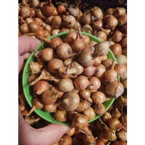 ���� ��� �������� ��������������� 0,5 ��. ������ ������� 18-32��, ������ �� 380 ���