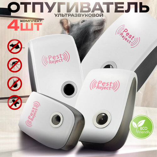 ���� ������������ ��������������, 4 ��, ������ �� 813 ���